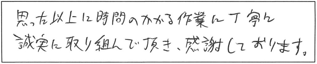 トイレ詰まり除去などの作業/60代女性