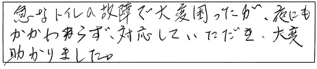 便器交換などの作業/60代女性