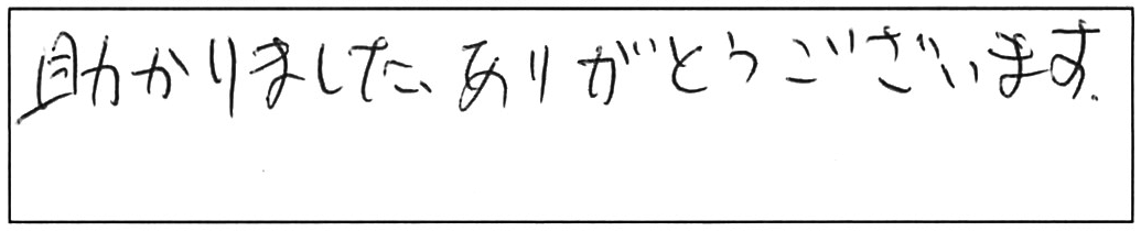 トイレ詰まり除去などの作業/男性