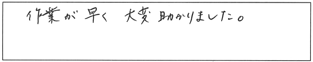 トイレ詰まり除去などの作業/30代女性