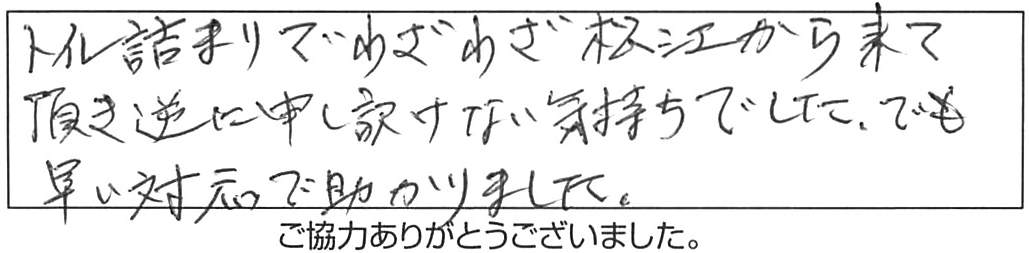 トイレ詰まり除去などの作業/60代男性