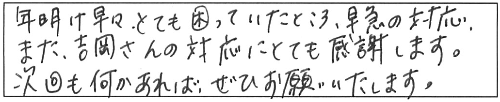 トイレ詰まり除去などの作業/40代女性