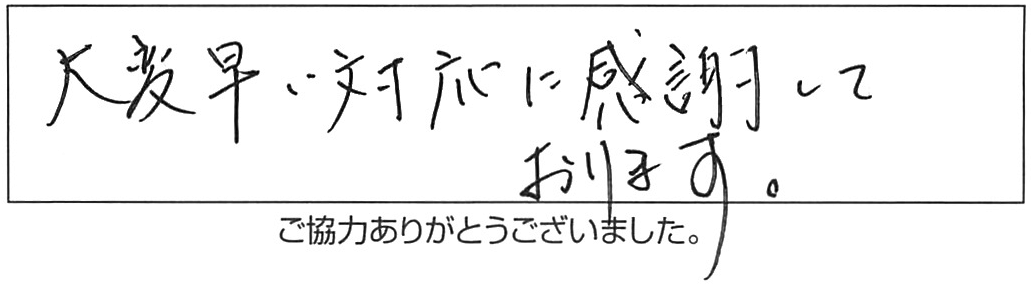 トイレ水漏れ修理などの作業/60代女性