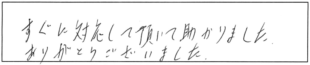 屋内詰まり除去などの作業/60代女性