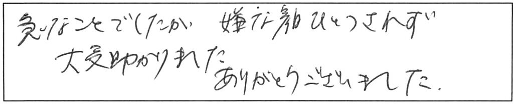 トイレ詰まり除去などの作業/40代女性