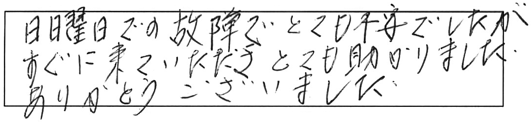 屋外詰まり除去などの作業/70代女性