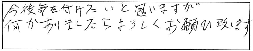 トイレ詰まり除去などの作業/80代女性