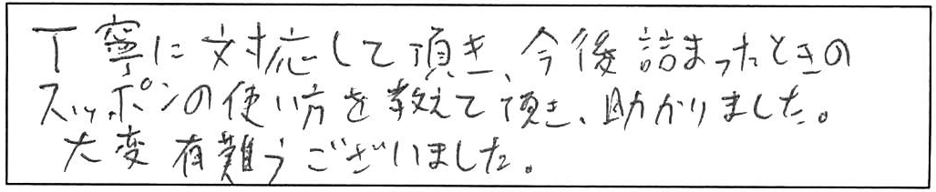 トイレ詰まり除去などの作業/30代男性