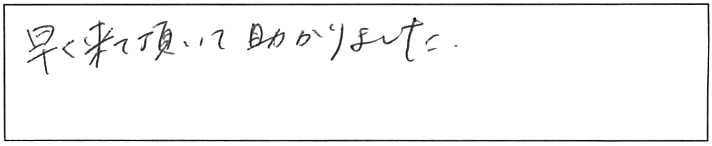 トイレ詰まり除去などの作業/30代女性