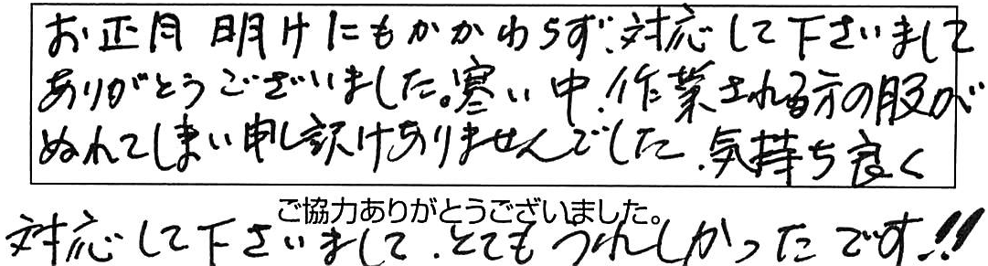 松江市八雲台便器交換などの作業/60代女性