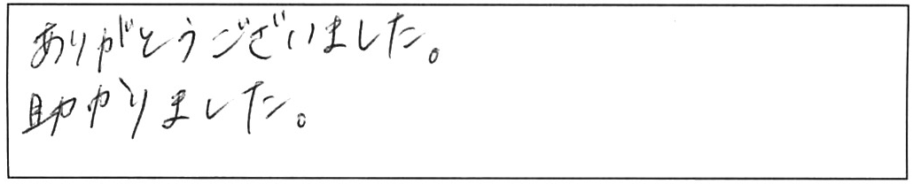 トイレ詰まり除去などの作業/20代女性