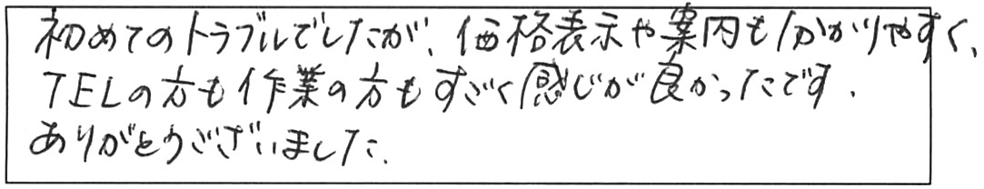 屋内詰まり除去などの作業/30代女性