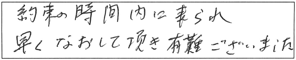 トイレ詰まり除去などの作業/80代男性