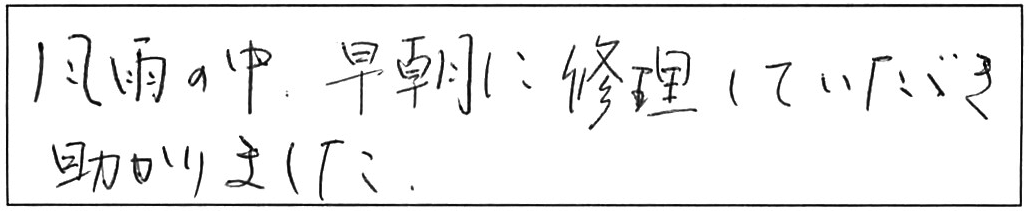 トイレ詰まり除去などの作業/男性