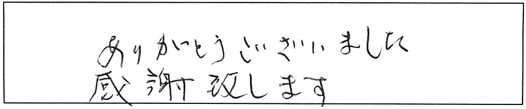 トイレ詰まり除去などの作業/80代男性