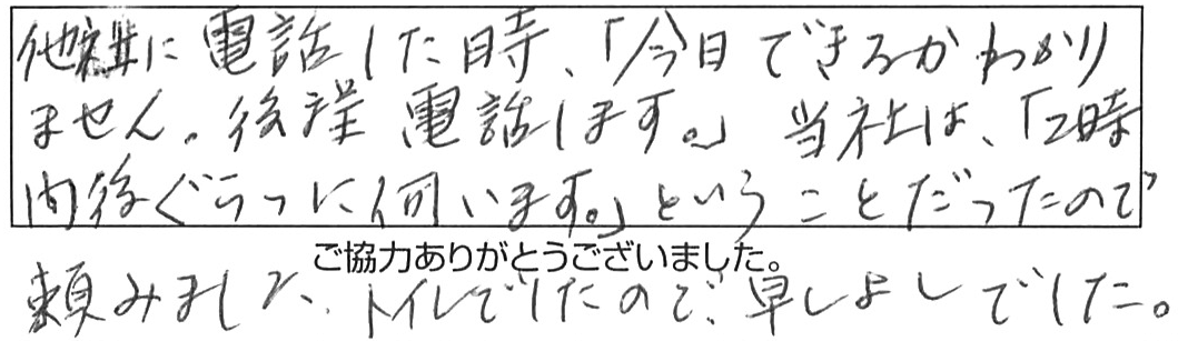 トイレ詰まり除去などの作業/60代女性