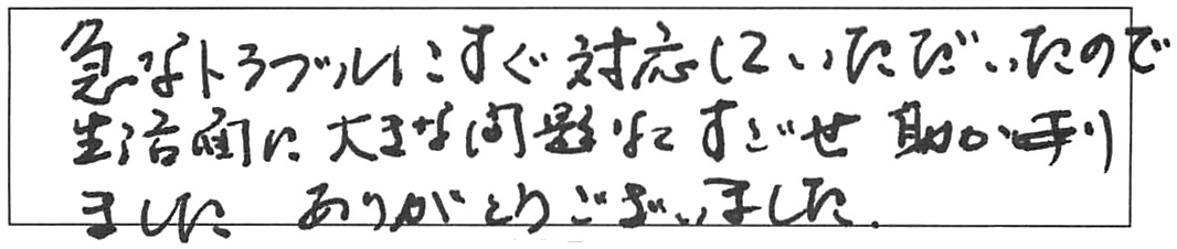 屋内詰まり除去などの作業/60代女性