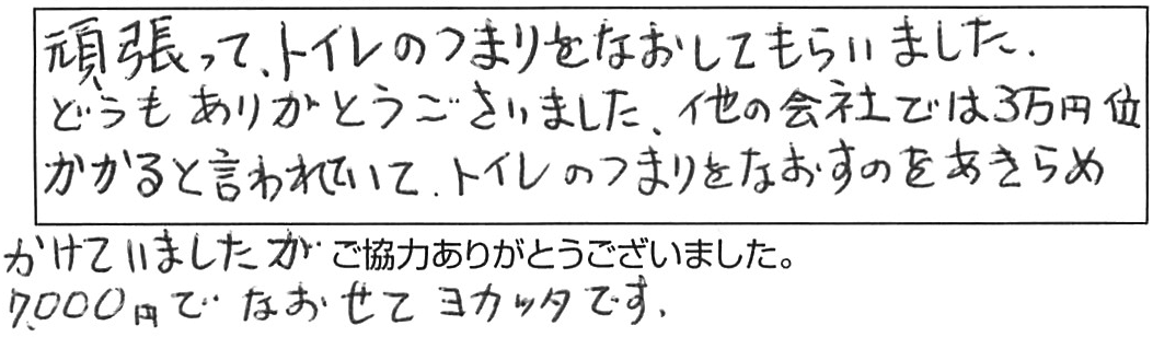 トイレ詰まり除去などの作業/40代女性