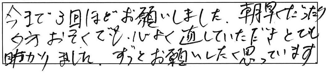 安来市荒島町トイレ詰まり除去作業/80代女性