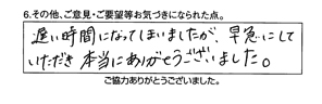 トイレ詰り除去/20代女性